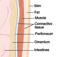 Diagram of layers of skin